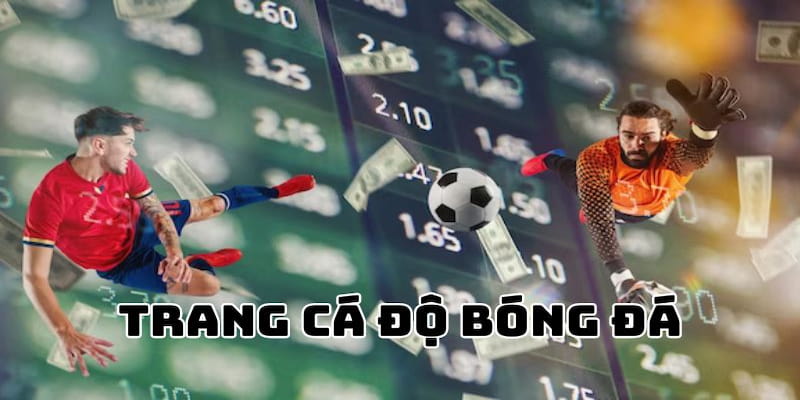 Hiểu về Trang Cá Độ Bóng Đá và tầm quan trọng của việc lựa chọn đúng
