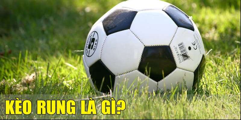 Đặc điểm nổi bật của kèo rung