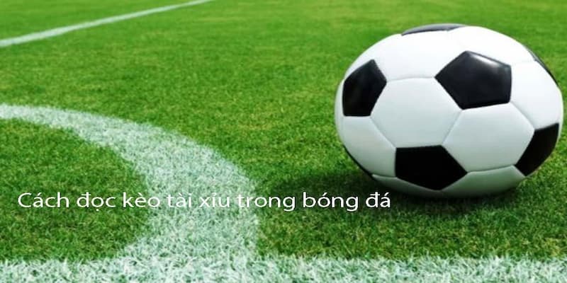 Kèo tài xỉu là gì