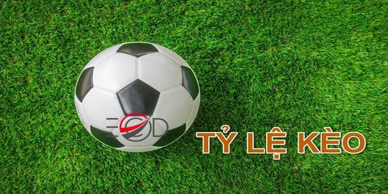 Tỷ lệ kèo nhà cái Hiểu rõ về tỷ lệ kèo nhà cái