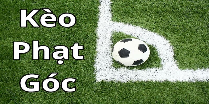 Kèo phạt góc là gì Kinh nghiệm phân tích trận đấu
