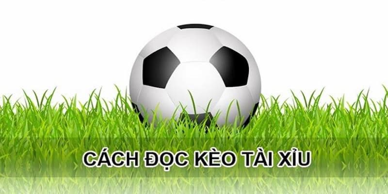 Kèo tài xỉu là gì Nguồn gốc và định nghĩa kèo tài xỉu