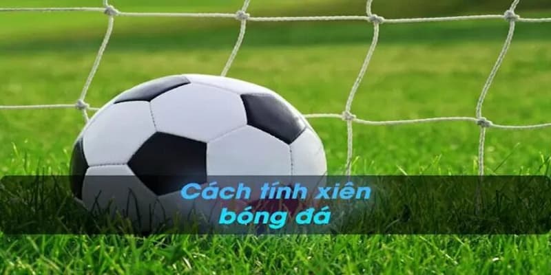Kèo xiên bóng đá Tại sao kèo xiên bóng đá lại thu hút?